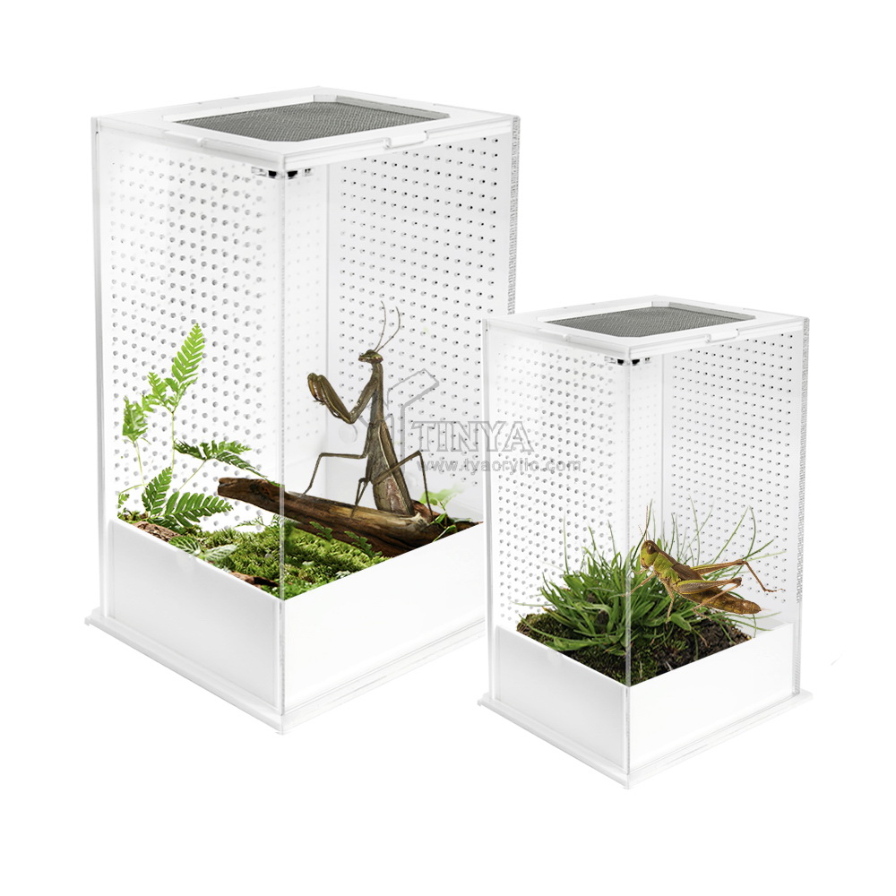 亞克力方形透明寵物飼養(yǎng)盒創(chuàng)意簡約蘆丁雞烏龜爬蟲類亞克力盒